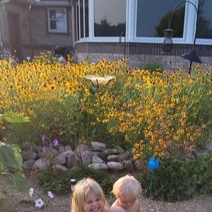 Meet your Posher, Misty